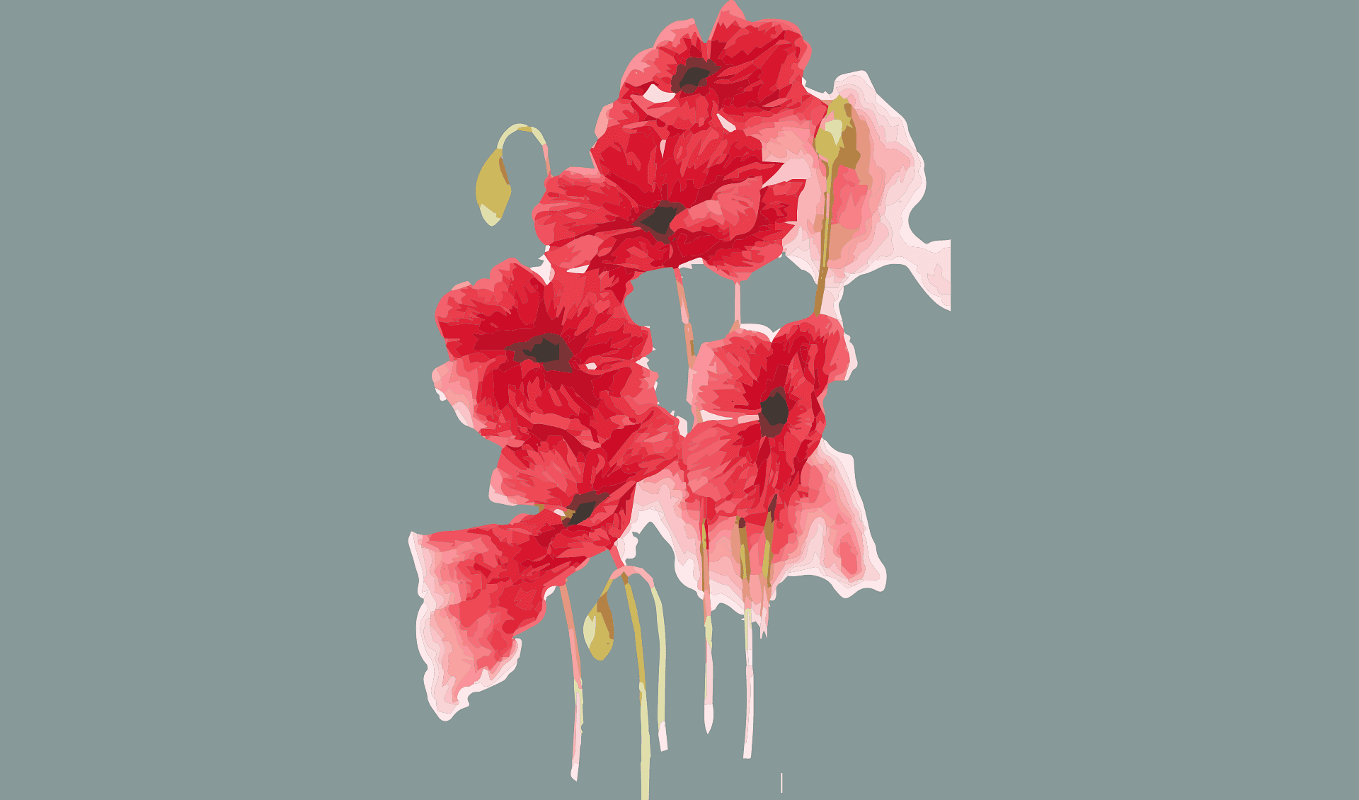 Mondes & fleurs - Scan-R