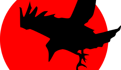 Un corbeau dans la cour