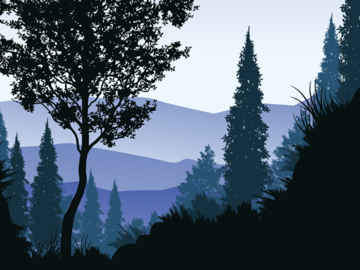 Petits avis en forêt, épisode 2