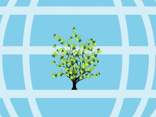 Des territoires à…, épisode 3