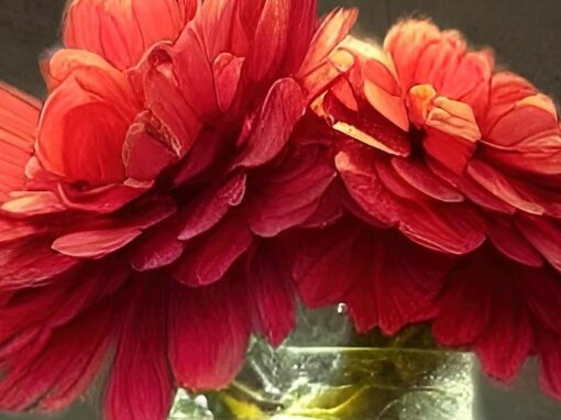 Le mariage et sa croyance