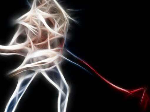 Heels, si vulgaire ?