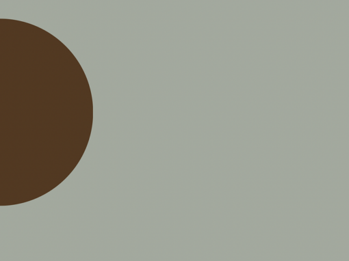 Le gris n&rsquo;existe pas