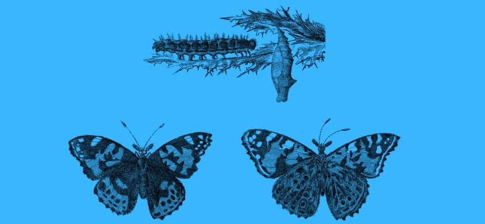 Des réalités bien différentes