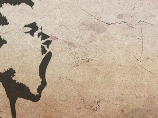 Des lois pour toi, épisode 1