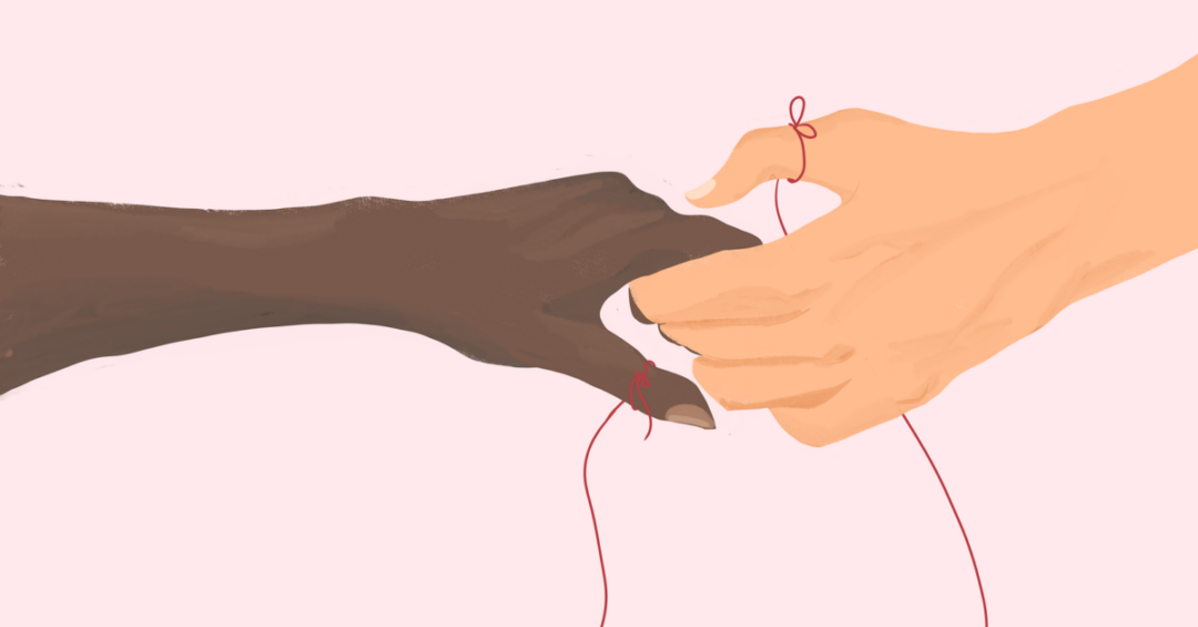 L’adoption, c’est créer une famille